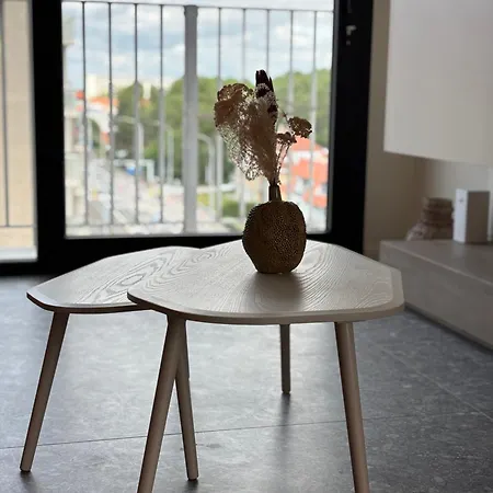 Trendy Modern *