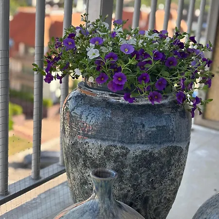 Trendy Modern 公寓