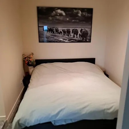Trendy Modern *